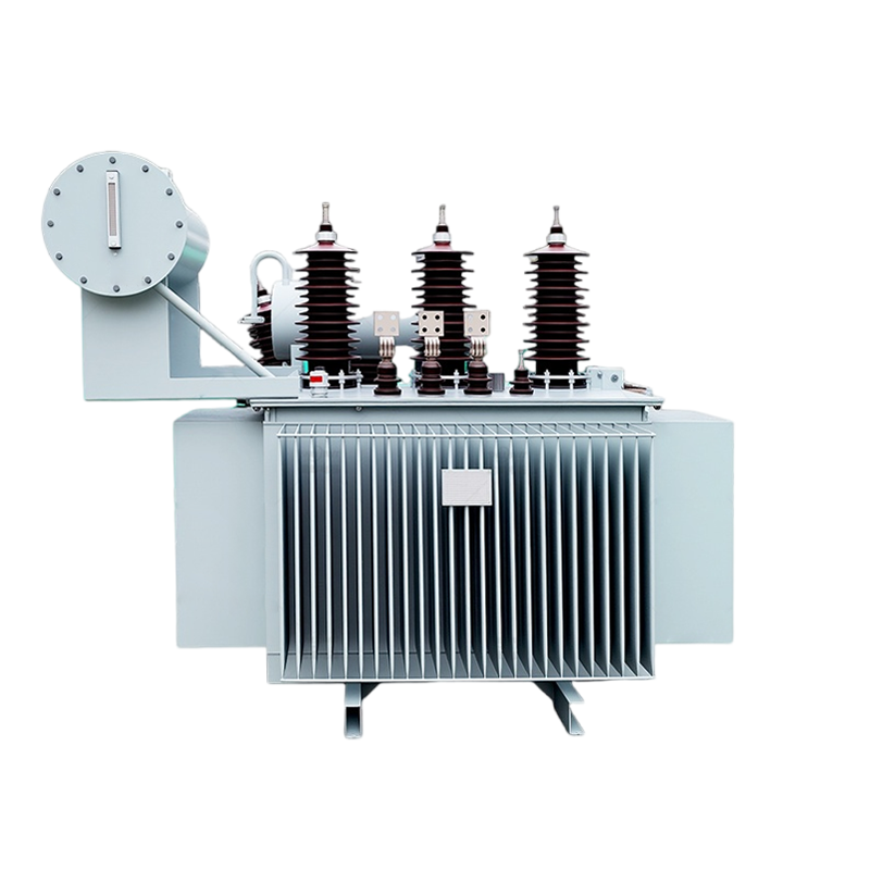 Oil immersed transformer