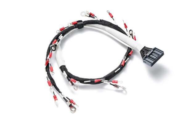 Cable Assembly